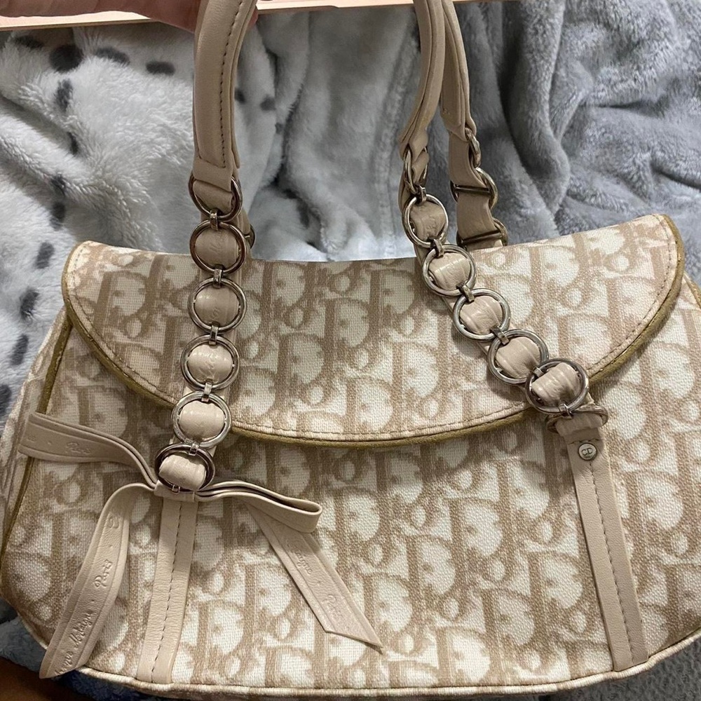 Christian Dior romantique purse